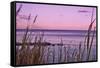 Sunset at Outer Banks, near Corolla-Martina Bleichner-Framed Stretched Canvas