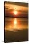 Sunset at Panacea, Florida-Natalie Tepper-Stretched Canvas