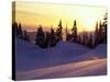 Sunset at Paradise, Mt. Rainier National Park, Washington, USA-Jamie & Judy Wild-Stretched Canvas