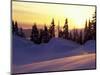 Sunset at Paradise, Mt. Rainier National Park, Washington, USA-Jamie & Judy Wild-Mounted Photographic Print
