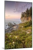 Sunset at Patrick's Point, Northern California-Vincent James-Mounted Photographic Print