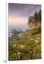 Sunset at Patrick's Point, Northern California-Vincent James-Framed Photographic Print