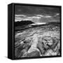 Sunset at Point Lobos-Moises Levy-Framed Stretched Canvas