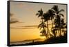 Sunset at Poipu Beach, Kauai, Hawaii-Michael DeFreitas-Framed Stretched Canvas