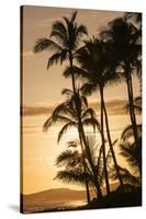 Sunset at Poipu Beach, Kauai, Hawaii-Michael DeFreitas-Stretched Canvas