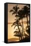 Sunset at Poipu Beach, Kauai, Hawaii-Michael DeFreitas-Framed Stretched Canvas