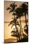 Sunset at Poipu Beach, Kauai, Hawaii-Michael DeFreitas-Mounted Premium Photographic Print
