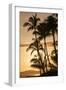 Sunset at Poipu Beach, Kauai, Hawaii-Michael DeFreitas-Framed Photographic Print