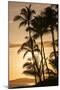 Sunset at Poipu Beach, Kauai, Hawaii-Michael DeFreitas-Mounted Photographic Print
