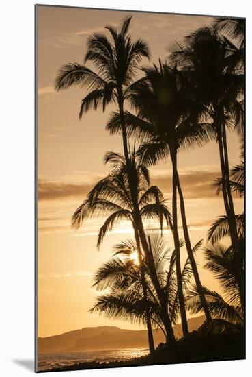 Sunset at Poipu Beach, Kauai, Hawaii-Michael DeFreitas-Mounted Photographic Print