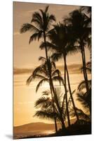 Sunset at Poipu Beach, Kauai, Hawaii-Michael DeFreitas-Mounted Premium Photographic Print