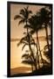 Sunset at Poipu Beach, Kauai, Hawaii-Michael DeFreitas-Framed Premium Photographic Print