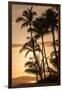 Sunset at Poipu Beach, Kauai, Hawaii-Michael DeFreitas-Framed Photographic Print