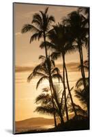 Sunset at Poipu Beach, Kauai, Hawaii-Michael DeFreitas-Mounted Photographic Print