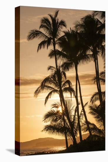 Sunset at Poipu Beach, Kauai, Hawaii-Michael DeFreitas-Stretched Canvas