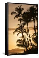Sunset at Poipu Beach, Kauai, Hawaii-Michael DeFreitas-Framed Stretched Canvas