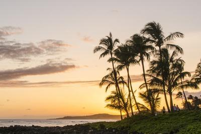 https://imgc.allpostersimages.com/img/posters/sunset-at-poipu-beach-kauai-hawaii_u-L-Q13BOS40.jpg?artPerspective=n
