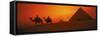 Sunset at Pyramids of Giza, Cairo, Egypt-Bill Bachmann-Framed Stretched Canvas