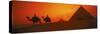 Sunset at Pyramids of Giza, Cairo, Egypt-Bill Bachmann-Stretched Canvas