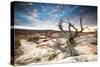 Sunset at Remote Canyon on Public Land in Utah-Matt Jones-Stretched Canvas