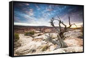 Sunset at Remote Canyon on Public Land in Utah-Matt Jones-Framed Stretched Canvas