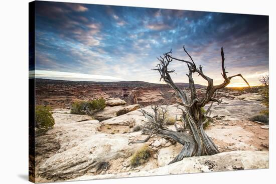 Sunset at Remote Canyon on Public Land in Utah-Matt Jones-Stretched Canvas