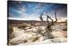 Sunset at Remote Canyon on Public Land in Utah-Matt Jones-Stretched Canvas