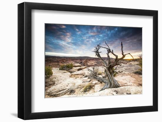 Sunset at Remote Canyon on Public Land in Utah-Matt Jones-Framed Photographic Print