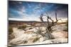 Sunset at Remote Canyon on Public Land in Utah-Matt Jones-Mounted Photographic Print