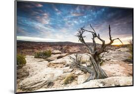 Sunset at Remote Canyon on Public Land in Utah-Matt Jones-Mounted Photographic Print