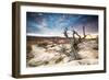 Sunset at Remote Canyon on Public Land in Utah-Matt Jones-Framed Photographic Print