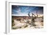 Sunset at Remote Canyon on Public Land in Utah-Matt Jones-Framed Photographic Print