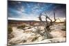 Sunset at Remote Canyon on Public Land in Utah-Matt Jones-Mounted Photographic Print