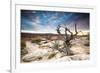 Sunset at Remote Canyon on Public Land in Utah-Matt Jones-Framed Photographic Print