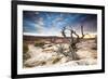 Sunset at Remote Canyon on Public Land in Utah-Matt Jones-Framed Photographic Print