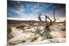 Sunset at Remote Canyon on Public Land in Utah-Matt Jones-Mounted Photographic Print