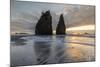 Sunset at Rialto Beach, La Push, Clallam county, Washington State-francesco vaninetti-Mounted Photographic Print