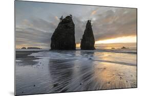 Sunset at Rialto Beach, La Push, Clallam county, Washington State-francesco vaninetti-Mounted Photographic Print