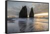 Sunset at Rialto Beach, La Push, Clallam county, Washington State-francesco vaninetti-Framed Stretched Canvas