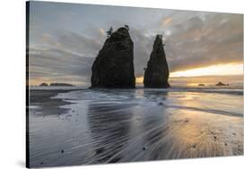 Sunset at Rialto Beach, La Push, Clallam county, Washington State-francesco vaninetti-Stretched Canvas