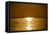 Sunset at Sea. Variety of Colors and Hues of the Rising Sun. Sea Landscape.-OlegRi-Framed Stretched Canvas