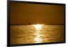 Sunset at Sea. Variety of Colors and Hues of the Rising Sun. Sea Landscape.-OlegRi-Framed Photographic Print