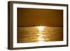 Sunset at Sea. Variety of Colors and Hues of the Rising Sun. Sea Landscape.-OlegRi-Framed Photographic Print