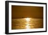 Sunset at Sea. Variety of Colors and Hues of the Rising Sun. Sea Landscape.-OlegRi-Framed Photographic Print