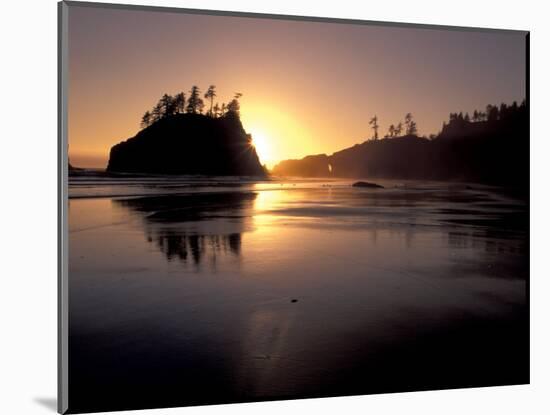 Sunset at Second Beach, Olympic National Park, Washington, USA-Jamie & Judy Wild-Mounted Photographic Print