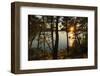 Sunset at Soline, Mljet Island National Park, Dalmatia, Croatia-Russ Bishop-Framed Photographic Print