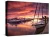 Sunset at Stuart Marina, Florida-Frances Gallogly-Stretched Canvas