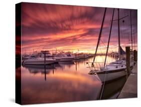 Sunset at Stuart Marina, Florida-Frances Gallogly-Stretched Canvas