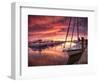 Sunset at Stuart Marina, Florida-Frances Gallogly-Framed Photographic Print