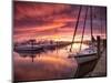 Sunset at Stuart Marina, Florida-Frances Gallogly-Mounted Photographic Print
